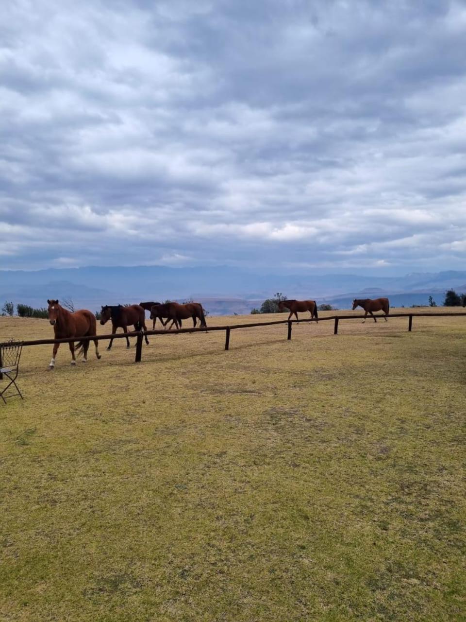 Gasthaus Drakensberg Mountain Retreat Bergville Exterior foto